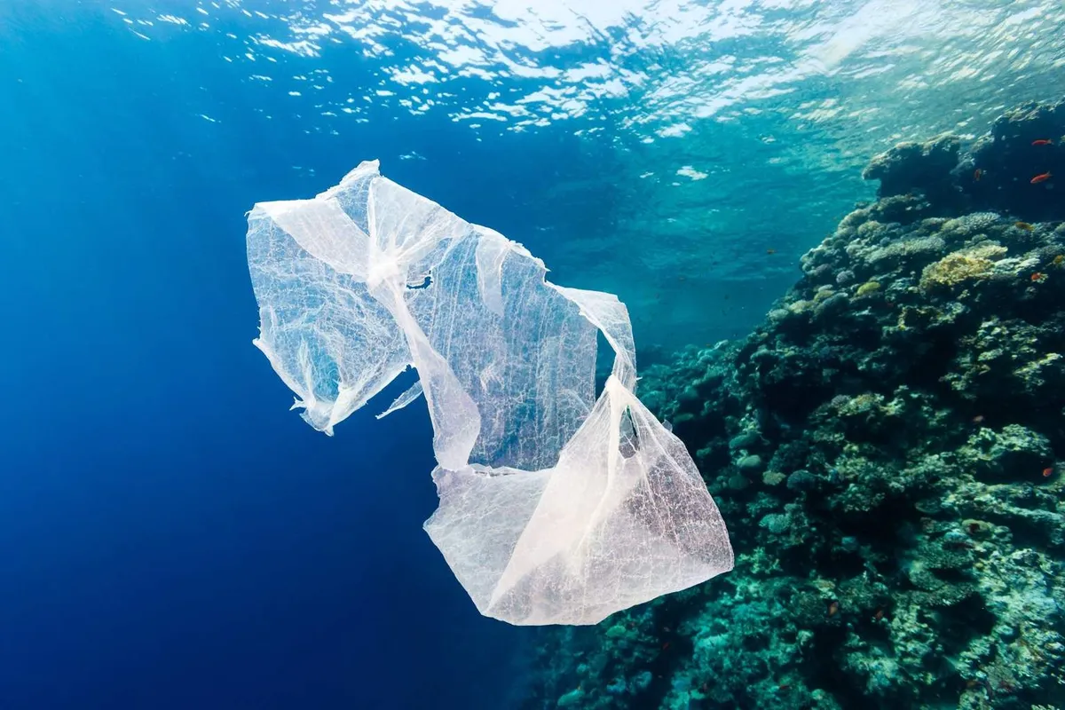 Plasty jako globální hrozba: Jak zákaz a poplatky za plastové tašky mění situaci